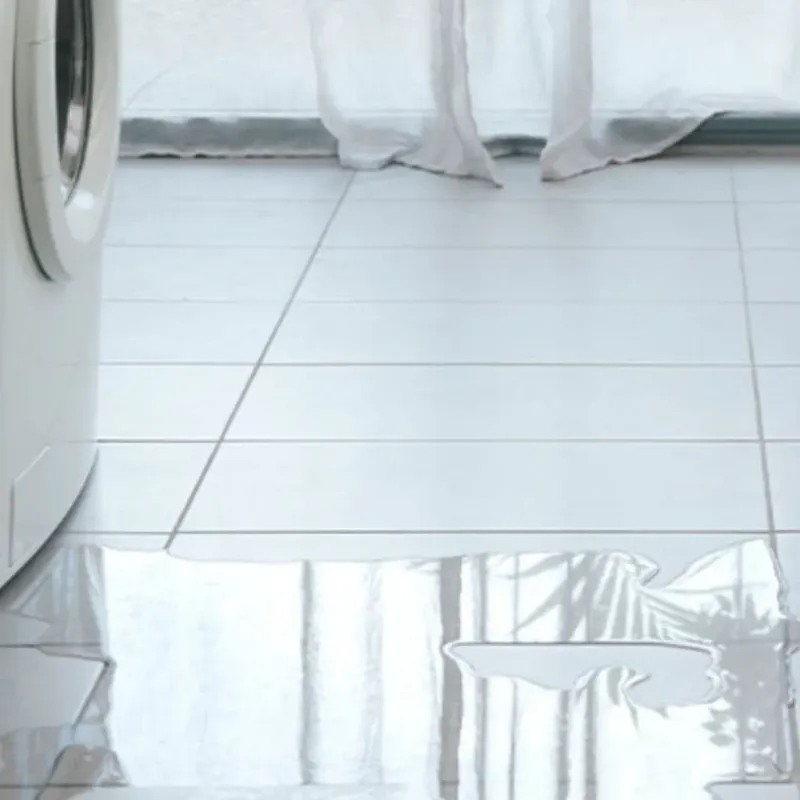 Appliance Leak Cleanup in Kalamazoo County, MI