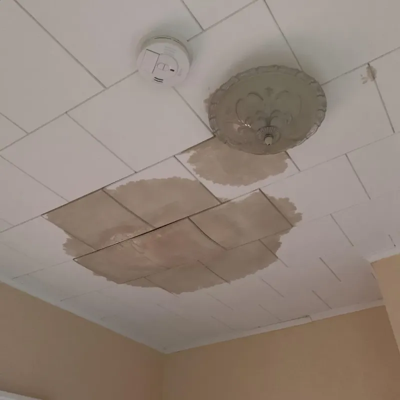 Ceiling Water Damage Repair in Kalamazoo County, MI