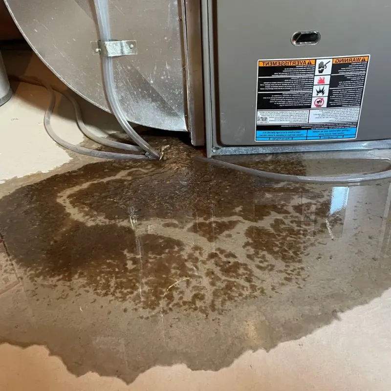 Pipe Burst and Leak Restoration in Kalamazoo County, MI
