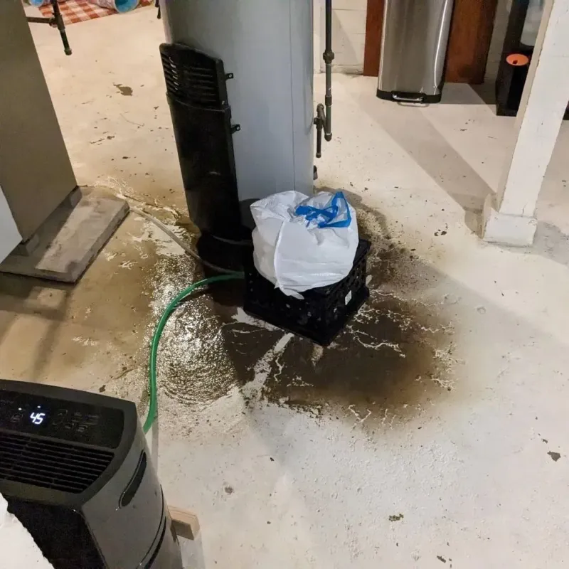 Sewage Backup Cleanup Service in Kalamazoo County, MI